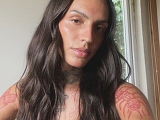 Kin Violeta